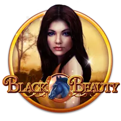 667bet 5s bet cassino Jogue online